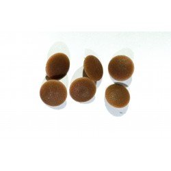 Tapa tornillos