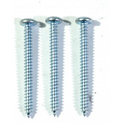 Tornillo goloso  10 X 2
