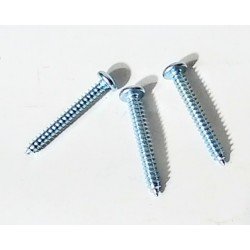 Tornillo goloso 10 x 1 ½