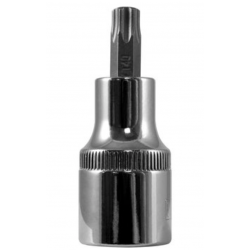 Copa torx ⅜ x 30